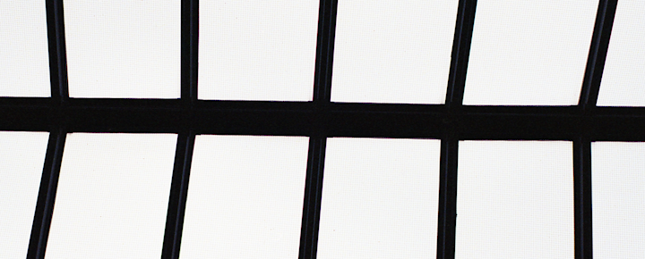 Photo Dump – photo 28